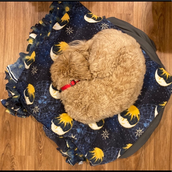 Meet your Posher, Alex - Picture 1 of 1